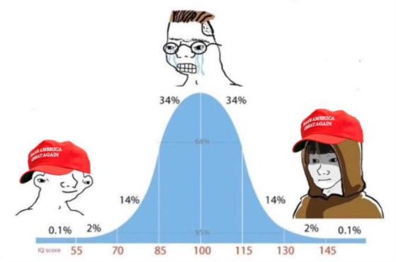 pic81cc162afef72025d8eb362a1379bd68